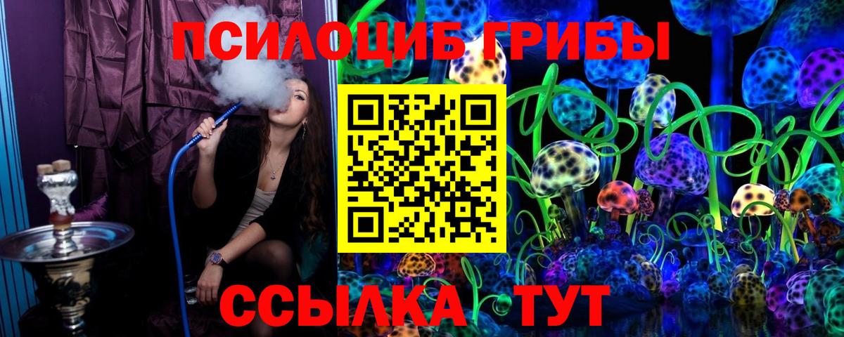 Галлюциногенные грибы Psilocybine cubensis  Вход с VPN  Керчь 